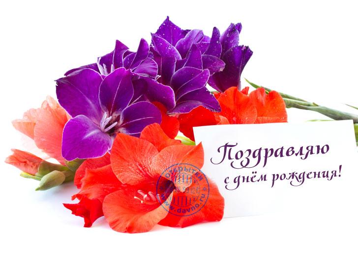 Поздравление с днем рождения цветок 60