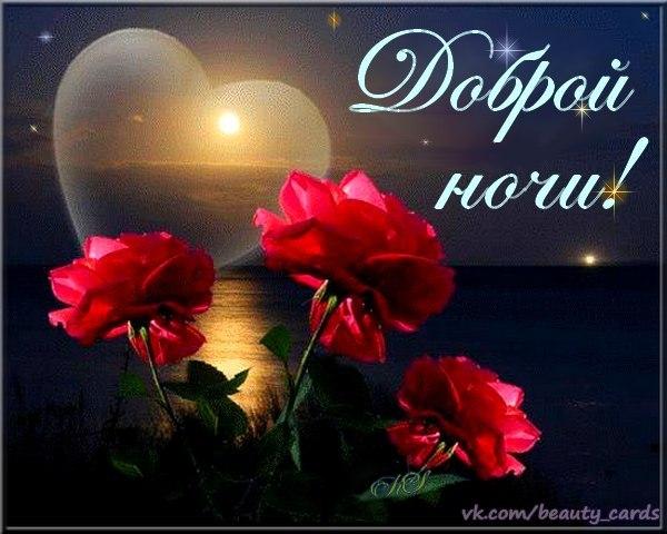 Цветок спокойной ночи Цветок спокойной ночи