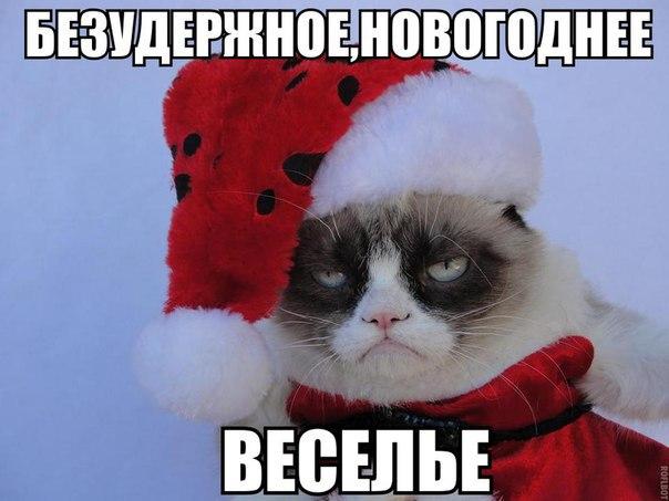 ответы на подколы/подколы, шутки, прибаутки ответы на подколы/подколы, шутки, прибаутки