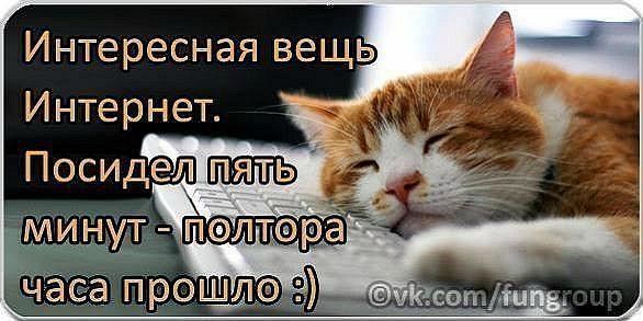 Интересные статусы конкурсы Интересные статусы конкурсы