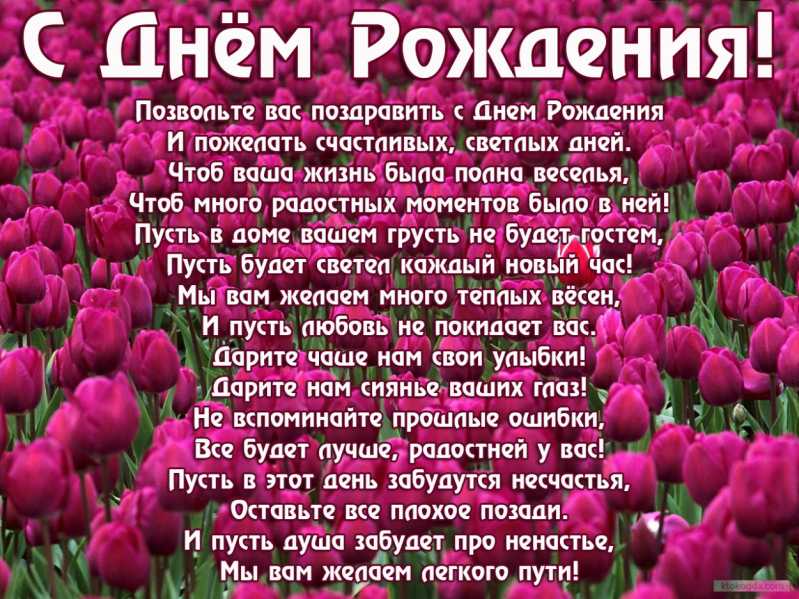 Прохождение ведьмак 1 альвин подарок 27