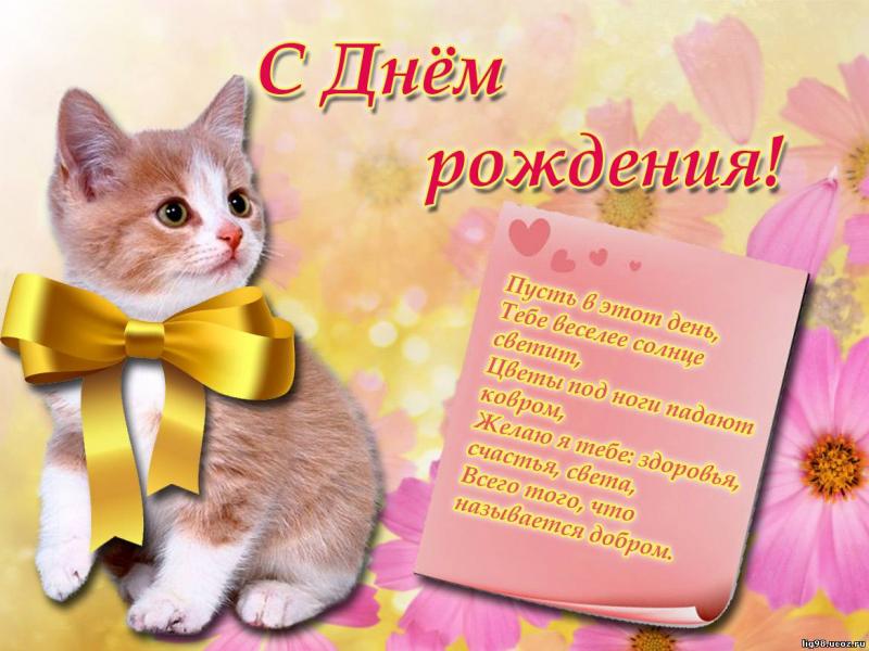 Поздравление на вайбер с днем рождения Поздравление на вайбер с днем рождения