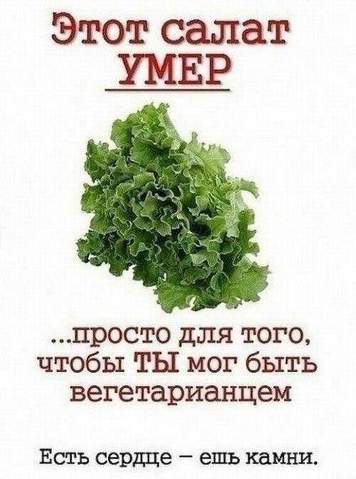 Как сделать густыми ресницы и брови? Чем лечить их выпадение? Как с помощью макияжа увеличить глаза - техника с фото