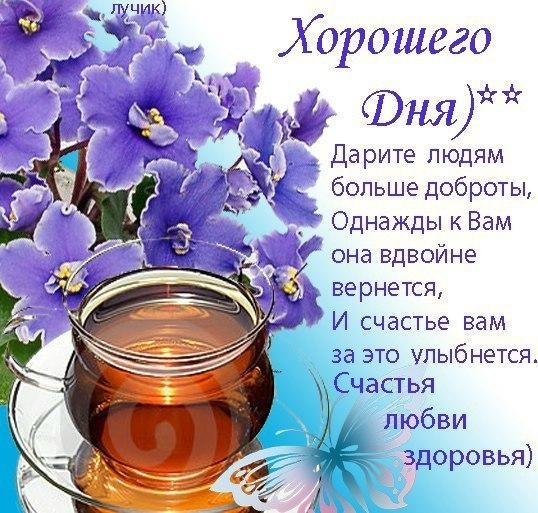 Картинки с пожеланием доброго дня отличного настроения Картинки с пожеланием доброго дня отличного настроения