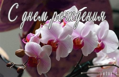 Шуточные подарки с юбилеем женщине с юмором 686