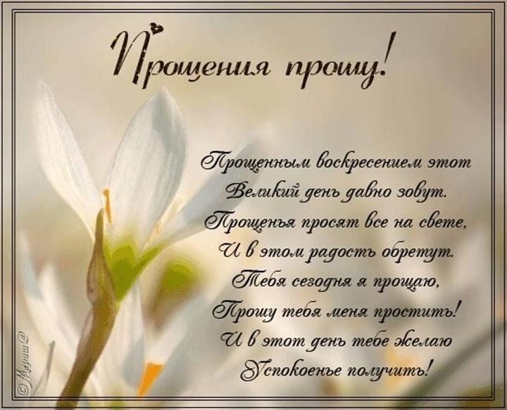 Просить прощения поздравления Просить прощения поздравления