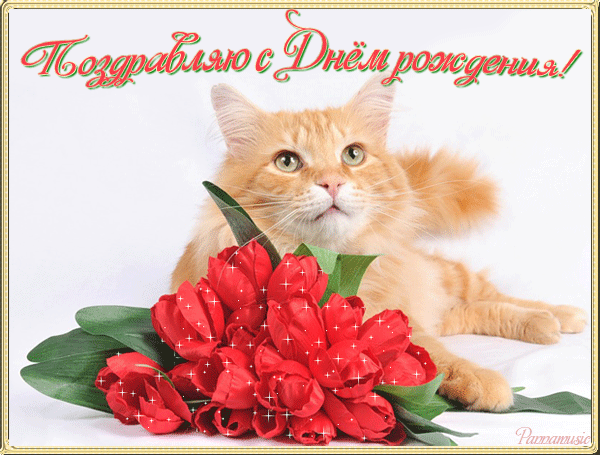 Картинки о котах поздравления с днем рождения Картинки о котах поздравления с днем рождения