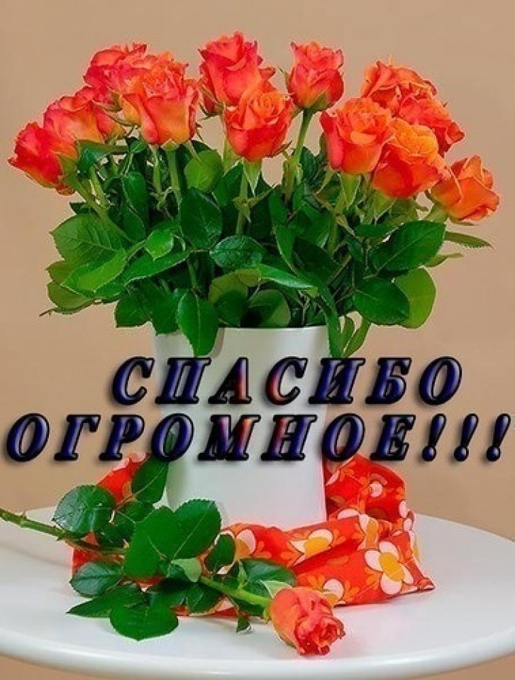 Открытки спасибо за подарок и поздравление Открытки спасибо за подарок и поздравление