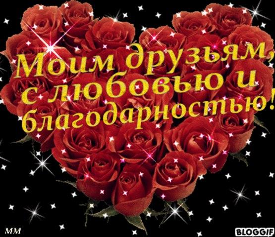 Садоводство, товары для сада и дачи в Алматы, доставка по РЕХАБ на Пятнице. - m