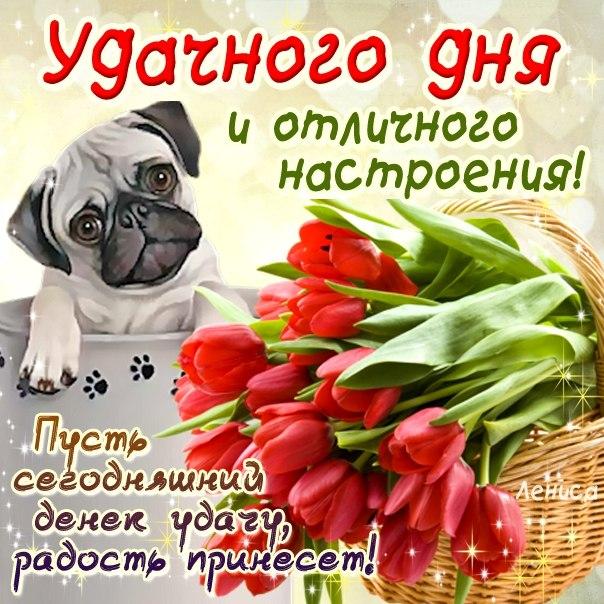Пожелание подруге на праздник Пожелание подруге на праздник