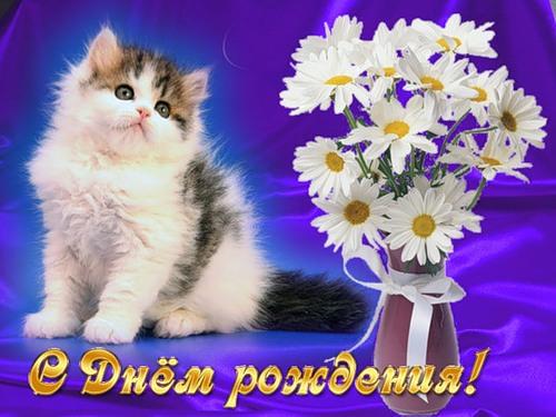 Конкурсы для взрослых вечеринок, веселые конкурсы Картины цветов маслом. Картины цветы