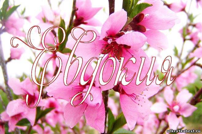 Поздравления с днём рождения евдокию Поздравления с днём рождения евдокию