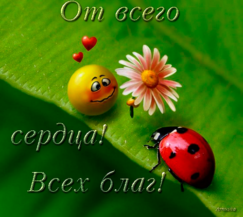 Заговор на герпес на теле Заговор на герпес на теле