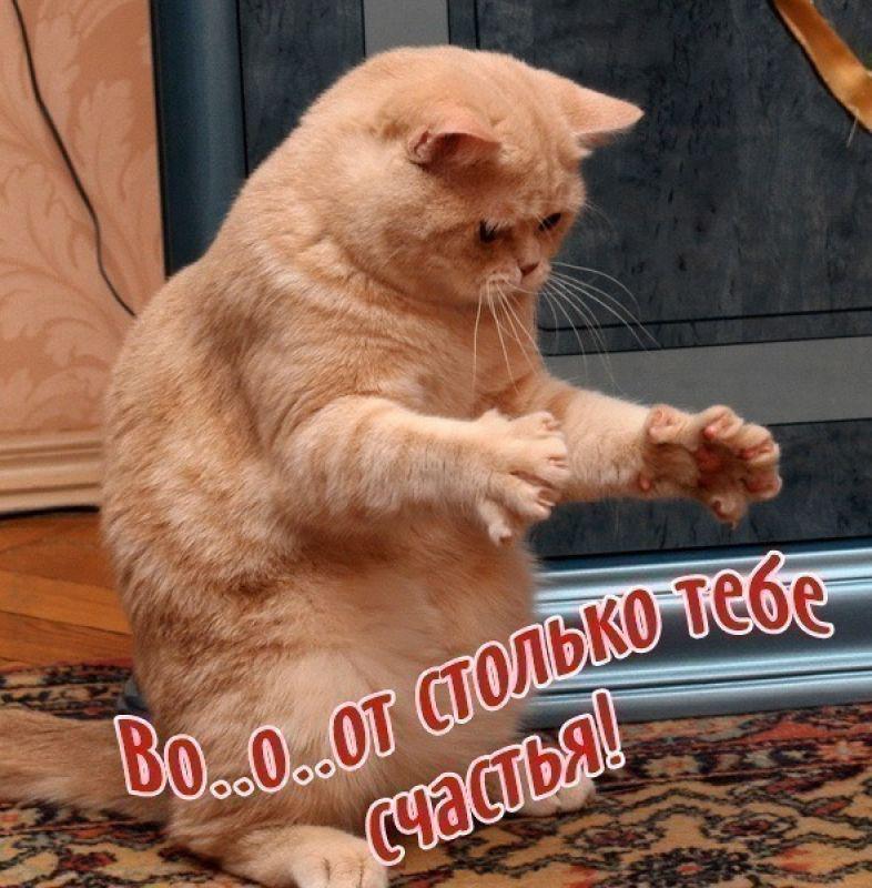 Поздравления вот вам тазик Поздравления вот вам тазик