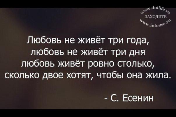 Цитаты про то что любовь смысл жизни Цитаты про то что любовь смысл жизни