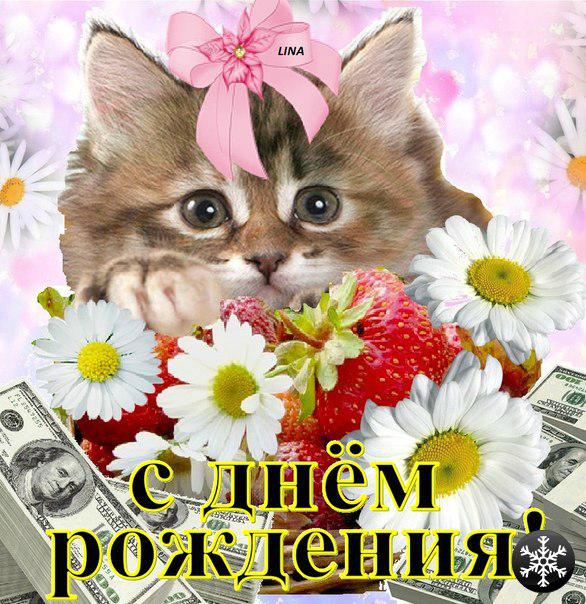 Поздравления с днём рождения котёнок Поздравления с днём рождения котёнок
