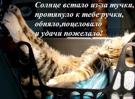 С добрым утром котик открытки С добрым утром котик открытки
