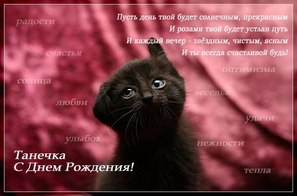 Поздравление для тани с днем рождения прикольные Поздравление для тани с днем рождения прикольные