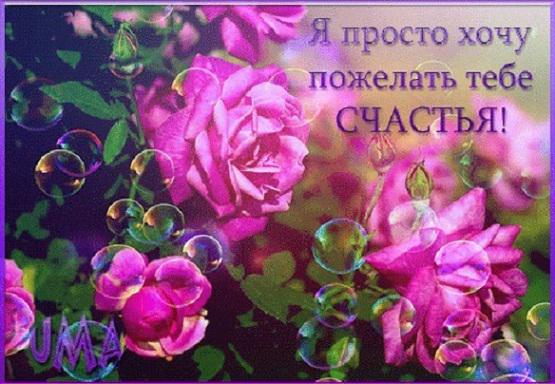 Женского счастья поздравления Женского счастья поздравления