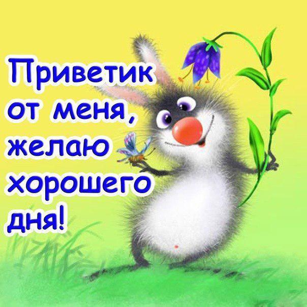 Статусу привет от меня Статусу привет от меня