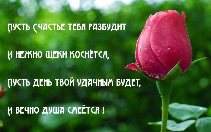 Поздравления Чтобы Окружали Только Хорошие Люди