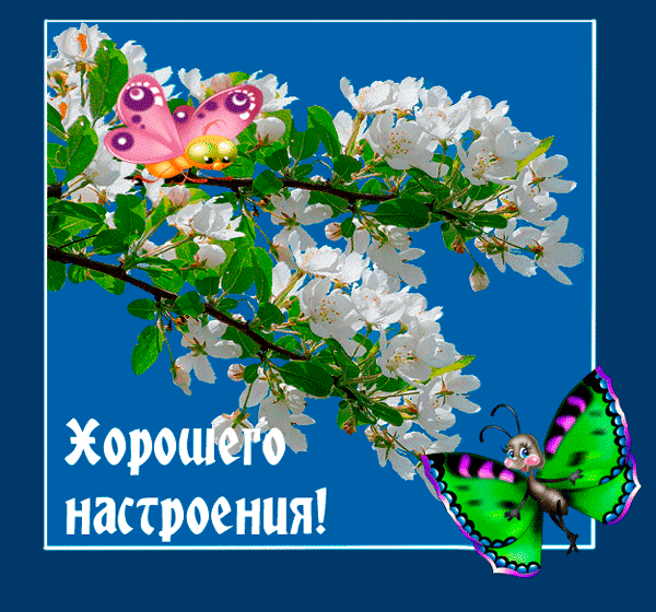 Сценарий про лета для взрослых Сценарий про лета для взрослых