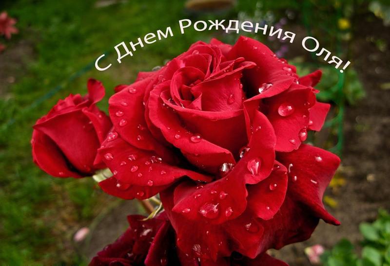 Фото поздравления с днем рождения ольге Фото поздравления с днем рождения ольге