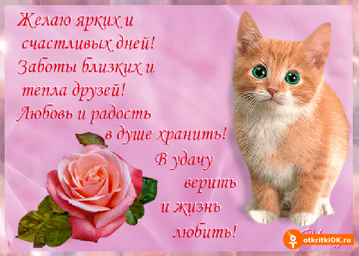 Поздравления с днем рождения для любимого мужа короткие Поздравления с днем рождения бабушке
