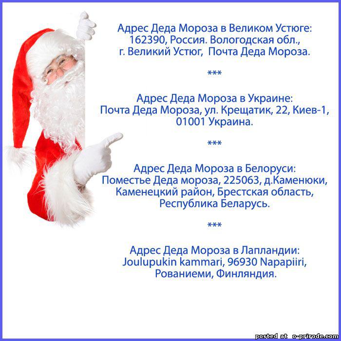 Лучшие Новогодние Поздравления Деда Мороза Сценарий