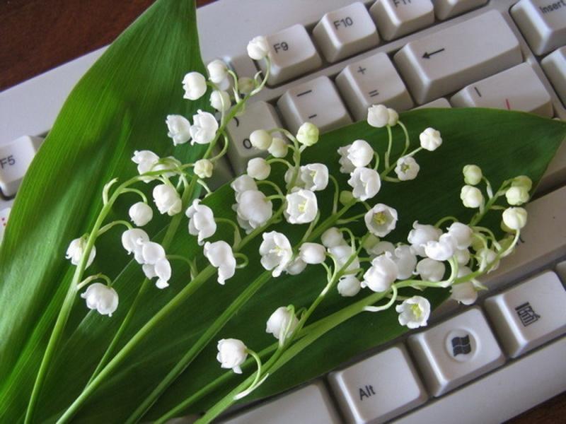 Вибратор Ландыш 6