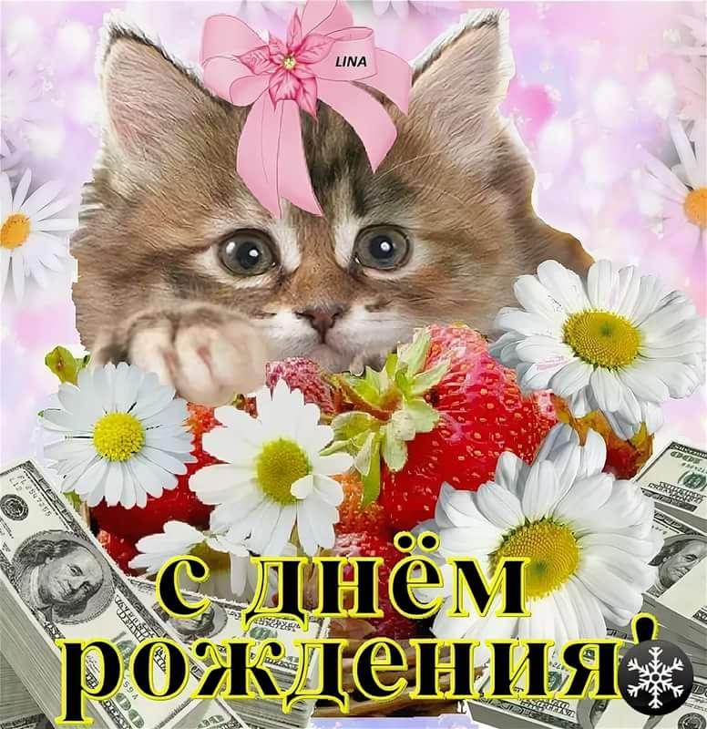 Добрый день картинки с кошками