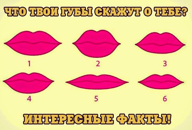 Какие бывают за формами губы Какие бывают за формами губы