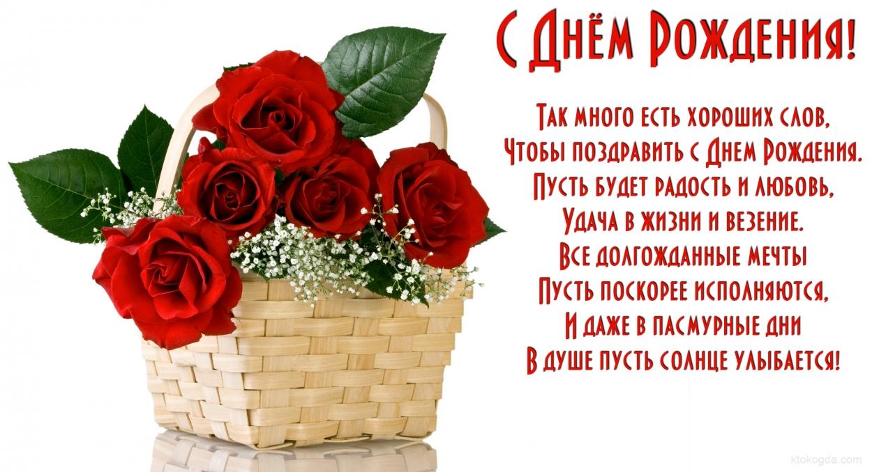 До какого можно сажать свеклу До какого можно сажать свеклу