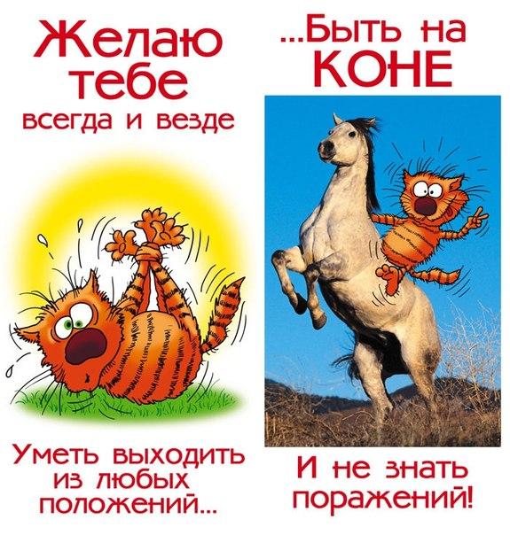 Поздравление с приколом на день рождения Поздравление с приколом на день рождения