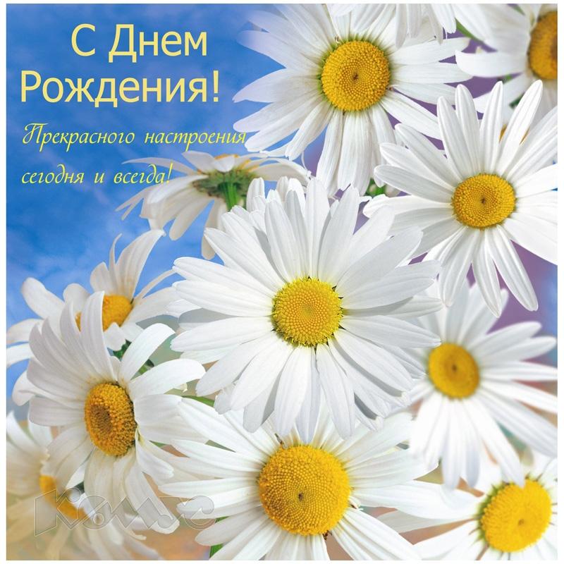 Как сделать на аквариум