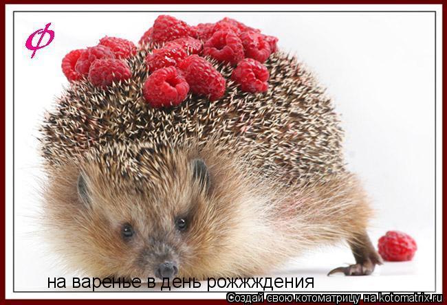Открытка с поздравлением для ежика Открытка с поздравлением для ежика