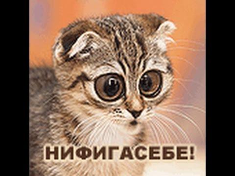 Открытка ничего себе Открытка ничего себе