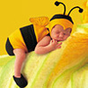 Аватарка - Спящая пчелка