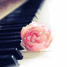Цветок на клавишах