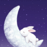 Зайчик на луне