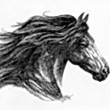 Аватарка - Лошадь