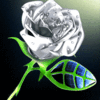 Серебряная роза