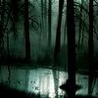 Аватарка - Dark Forest