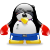 Пингвин - боксер