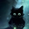 Черный кот