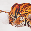 Аватарка - Тигр лежит на снегу