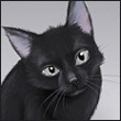 Аватарка - Черный кот