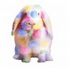 Разноцветный кролик