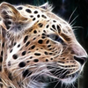 Аватарка - Леопард