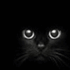 Аватарка - Черный кот (Черный кот)